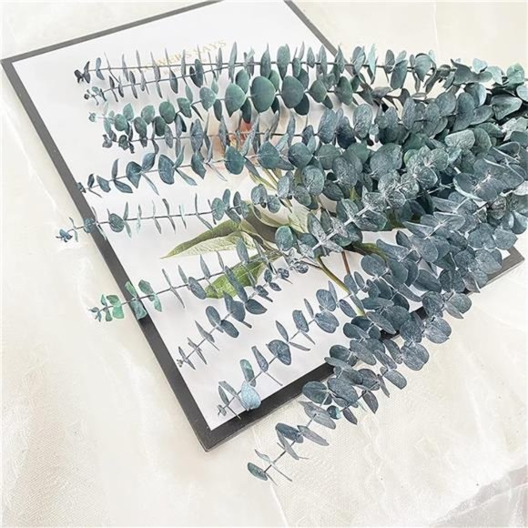 10 Pack Natural Dried Eucalyptus Bundle,17 inch/45cm Preserved Fresh Eucalyptus - Picture 2 of 7